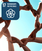 sdg goal 17 image